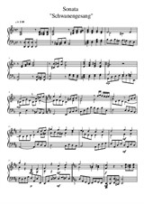 Sonata in D Minor - 'Schwanengesang' - I - Allegro Giusto